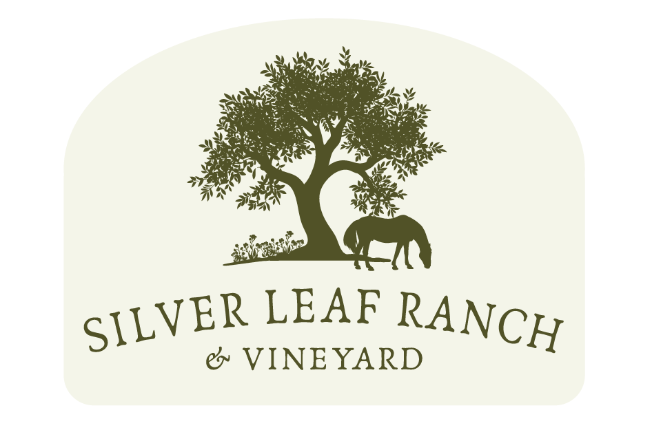 Aster Springs Sticker (Silver Leaf Ranch & Vineyard)