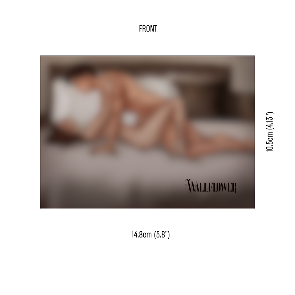 Wallflower NSFW Scene Art